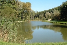 Les étangs de Roderen